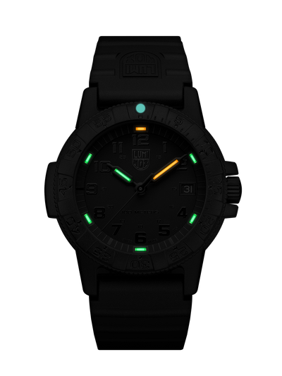 Leatherback SEA Turtle, 39MM - Black Dial (Black-Out)