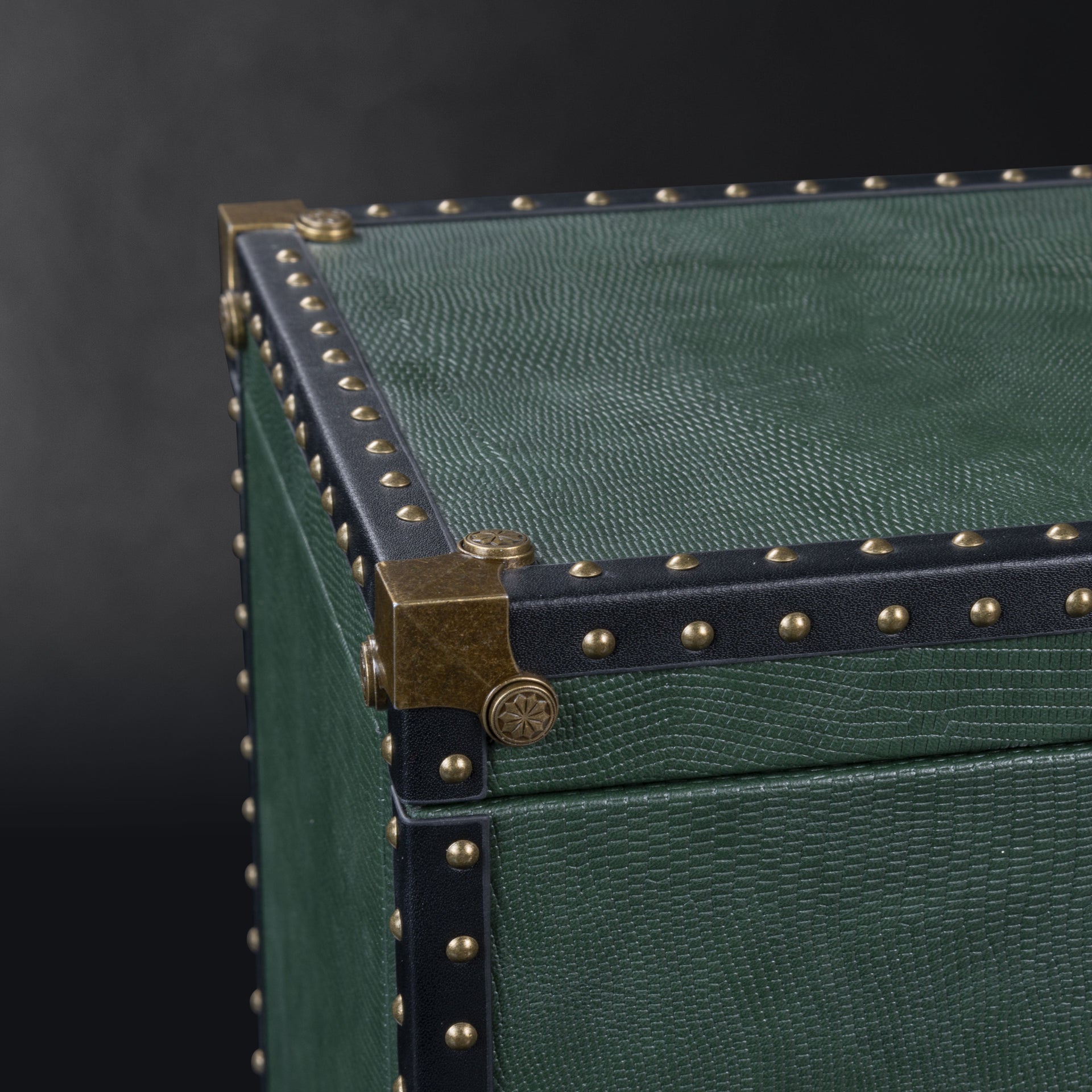 Heisse & Söhne Verne Watch Winder