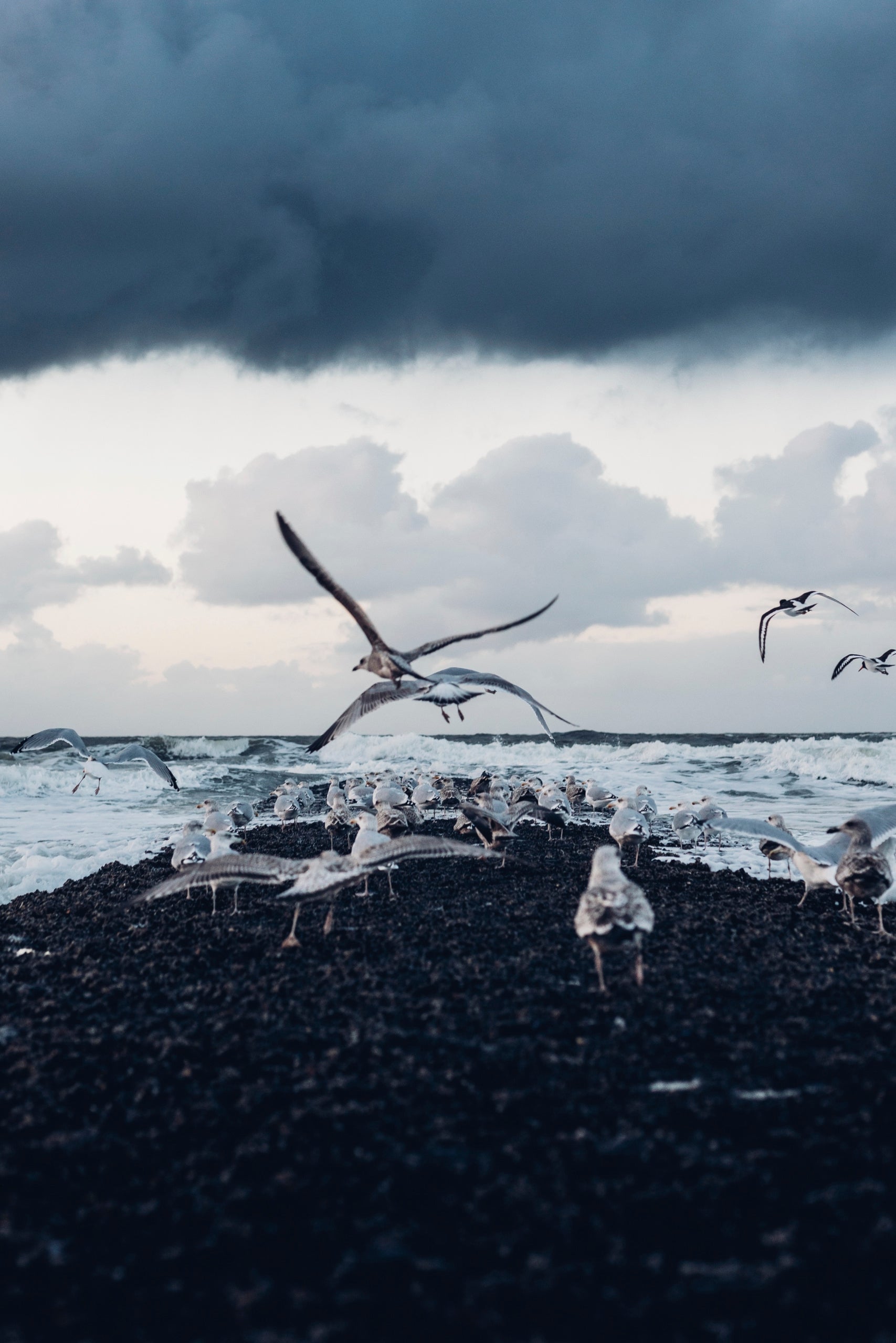 Oris Aquis Dat Watt II Limited Edition REF#74377344197-Set