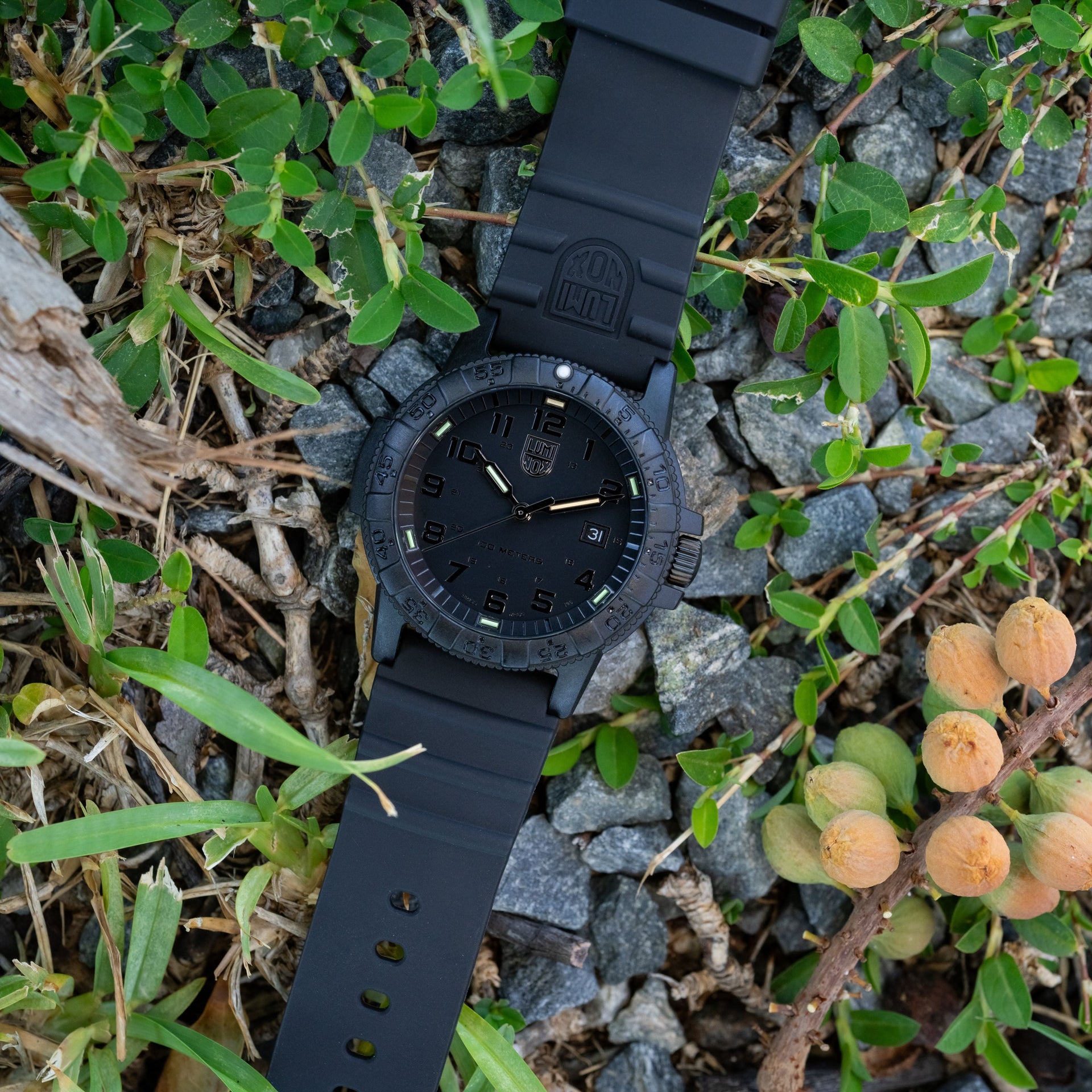 Leatherback SEA Turtle Giant, 44MM - Black Dial (Black-Out)