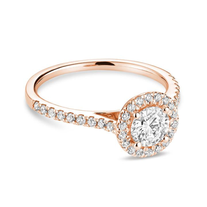Hemsleys Collection 14K Round Diamond Engagement Ring with Round Halo
