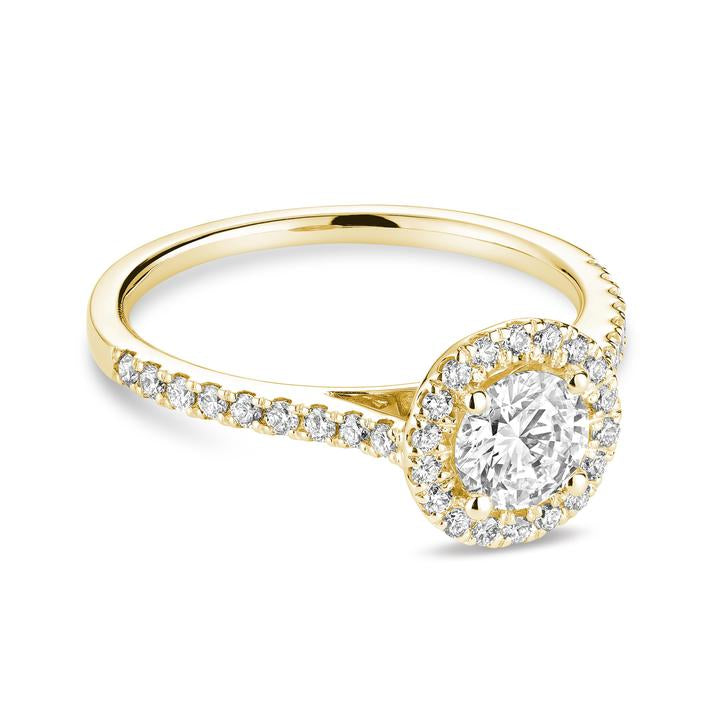 Hemsleys Collection 14K Round Diamond Engagement Ring with Round Halo