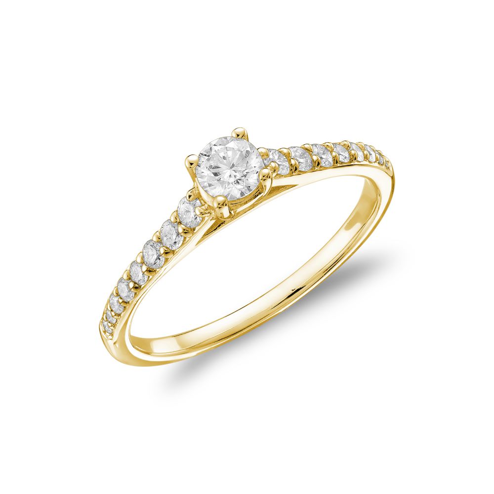 Hemsleys Collection 14K Round Diamond Solitaire Diamond Shank Engagement Ring