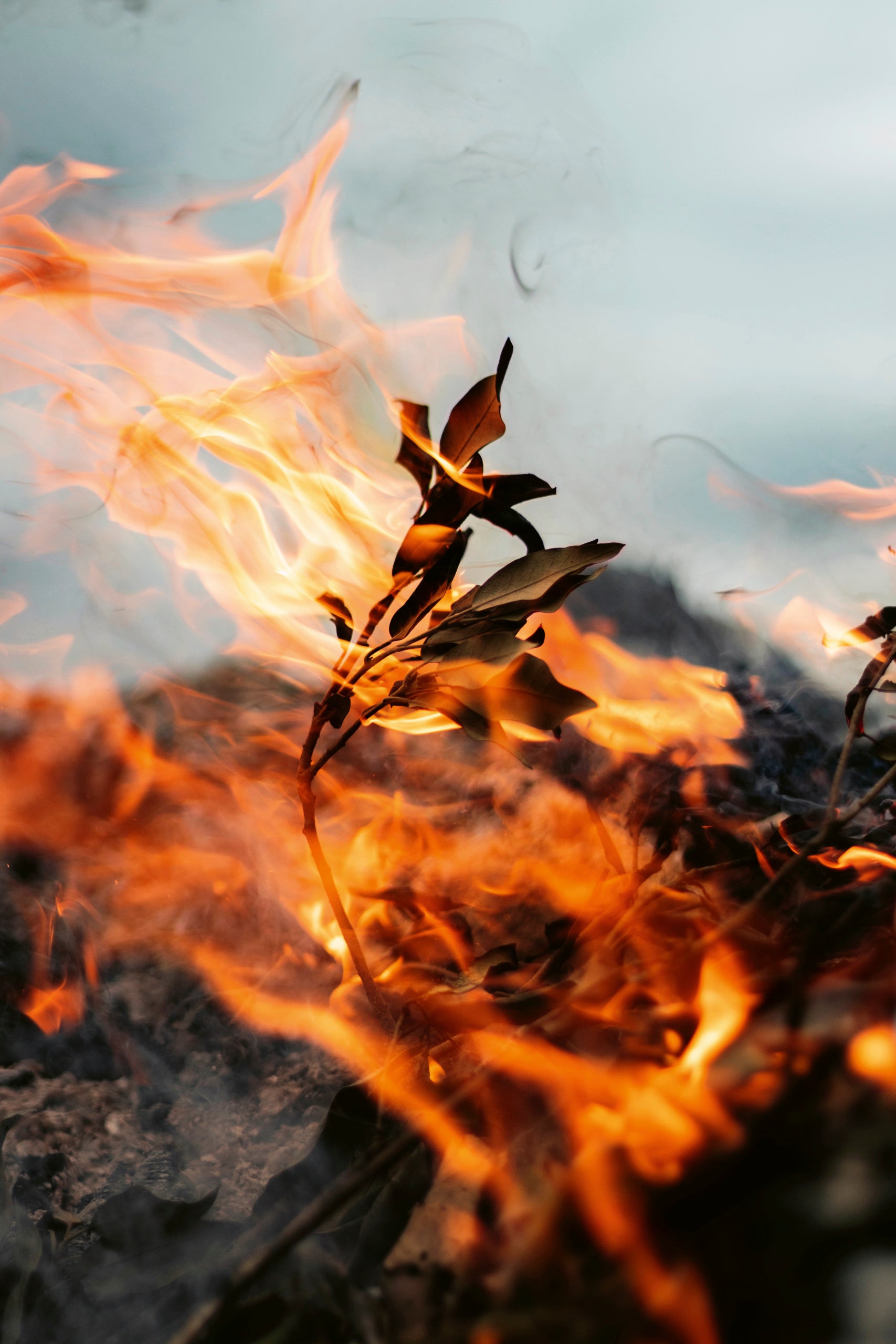 Oris Big Crown ProPilot Coulson Limited Edition Automatic REF#40077848786-Set (Red Dial / 41mm)